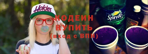 индика Верхний Тагил