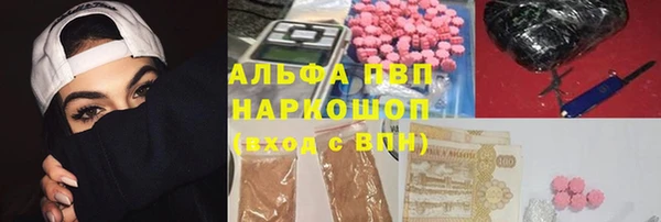индика Верхний Тагил