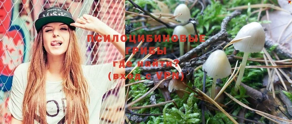 индика Верхний Тагил
