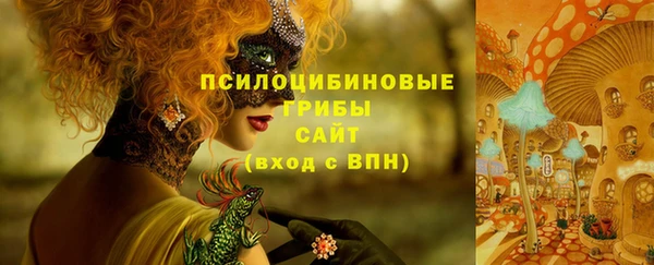 jwh Верея