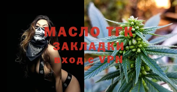 индика Верхний Тагил