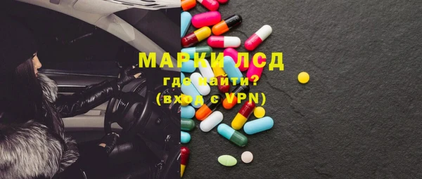 индика Верхний Тагил