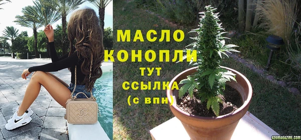 индика Верхний Тагил