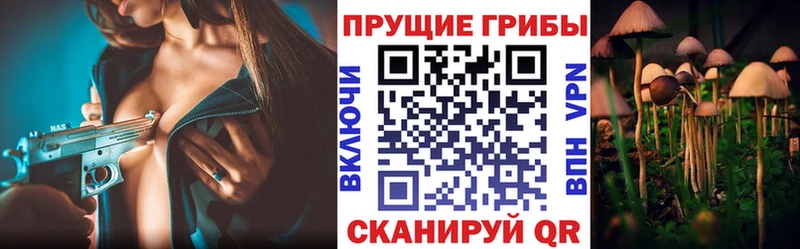 MEGA ССЫЛКА  Ковдор  Галлюциногенные грибы Psilocybe 